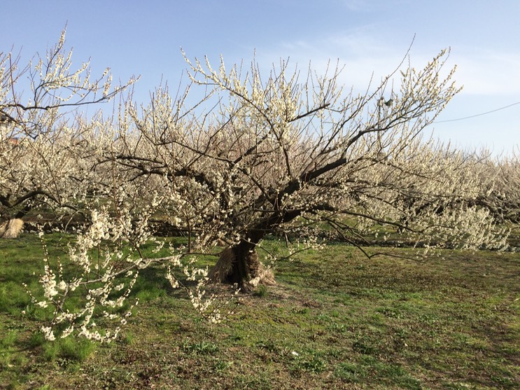 Photo 28-02-2015 14 36 46