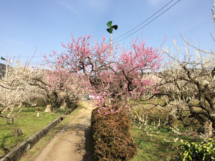 Photo 28-02-2015 14 36 55