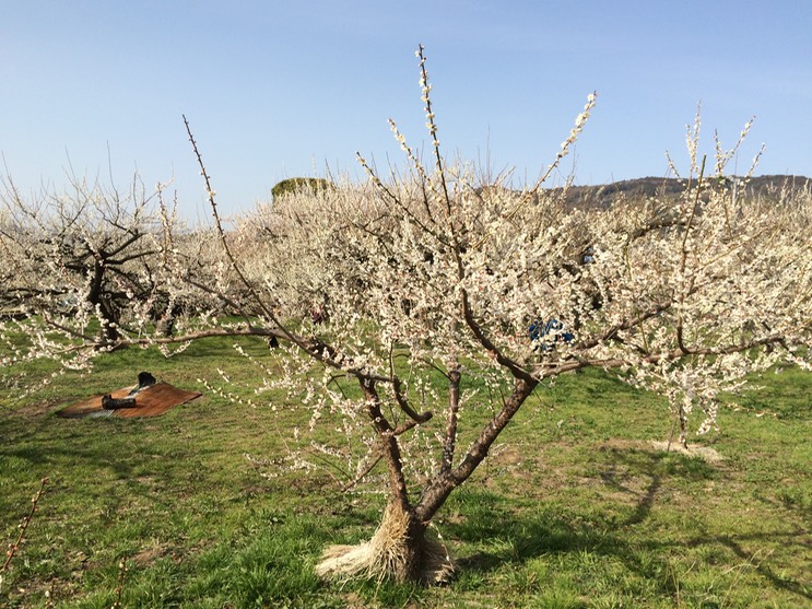 Photo 28-02-2015 14 37 05