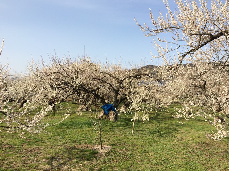 Photo 28-02-2015 14 37 14