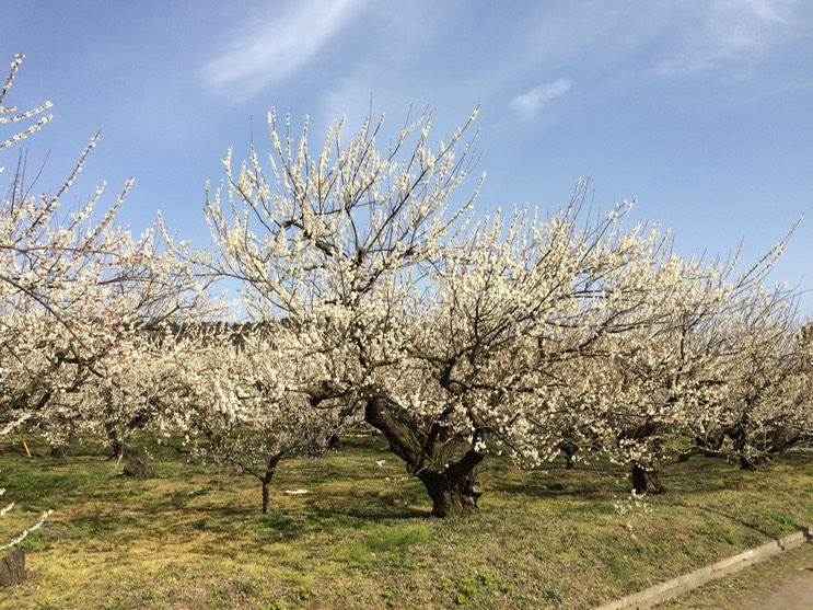 Photo 28-02-2015 14 38 41