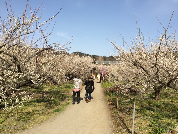 Photo 28-02-2015 14 39 21