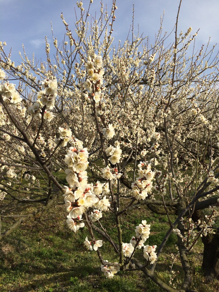 Photo 28-02-2015 14 39 55