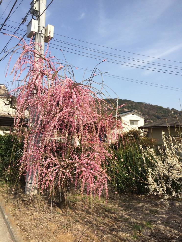 Photo 28-02-2015 14 42 08