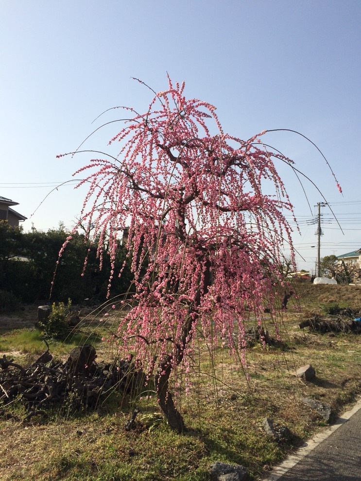 Photo 28-02-2015 14 43 20