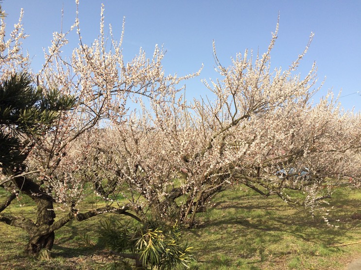 Photo 28-02-2015 14 46 14