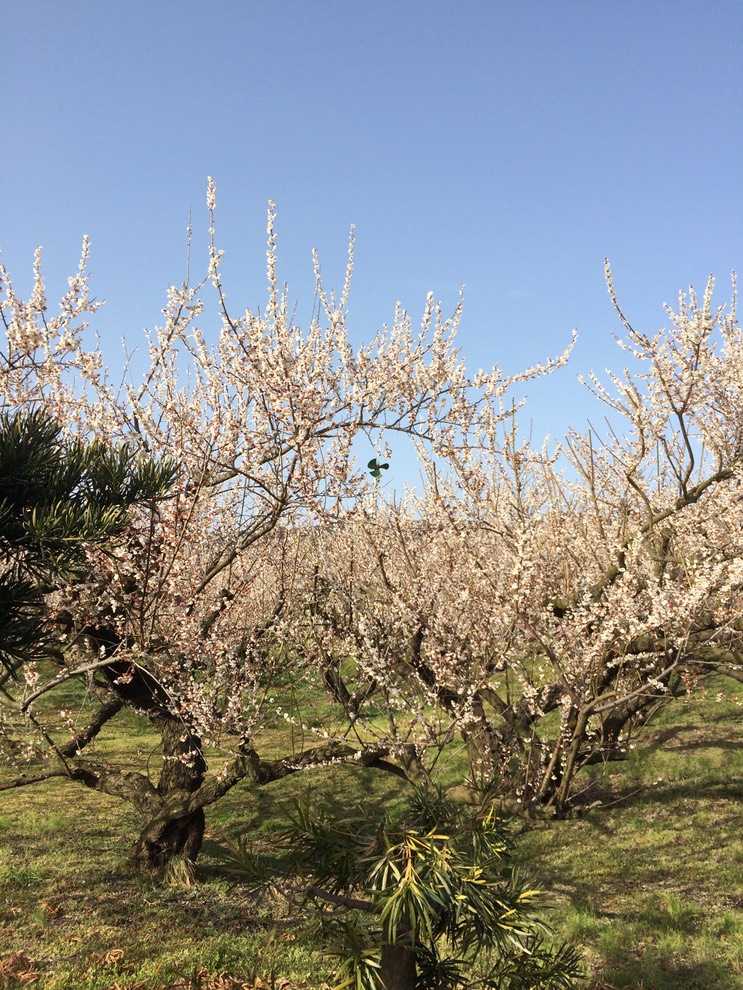 Photo 28-02-2015 14 46 19