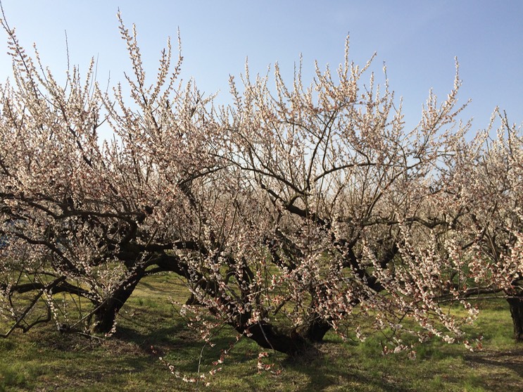 Photo 28-02-2015 14 46 31