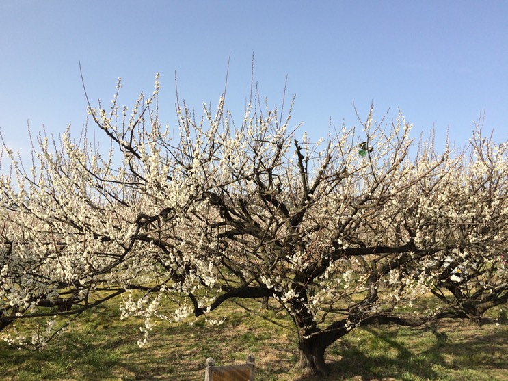 Photo 28-02-2015 14 47 42