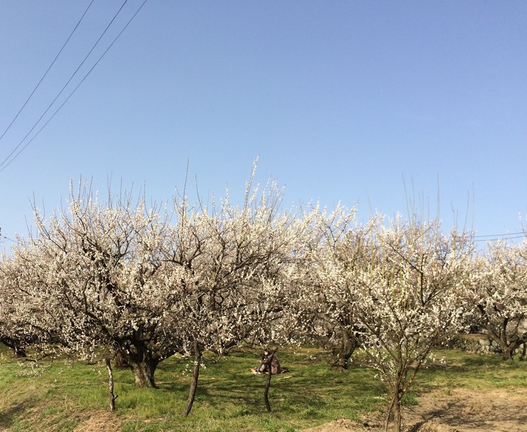 Photo 28-02-2015 14 48 35