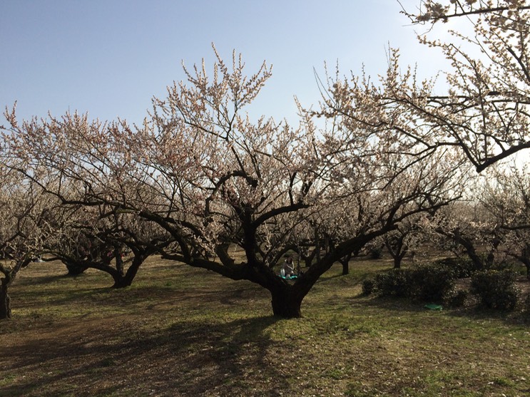 Photo 28-02-2015 14 52 14