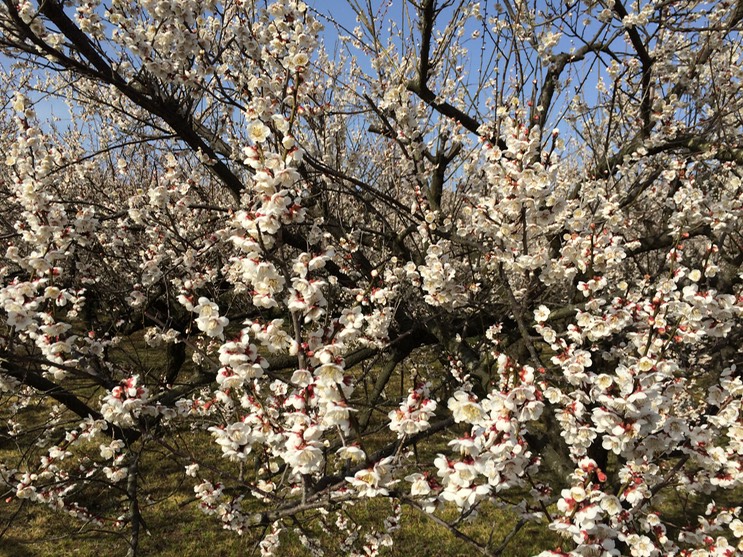 Photo 28-02-2015 14 53 47