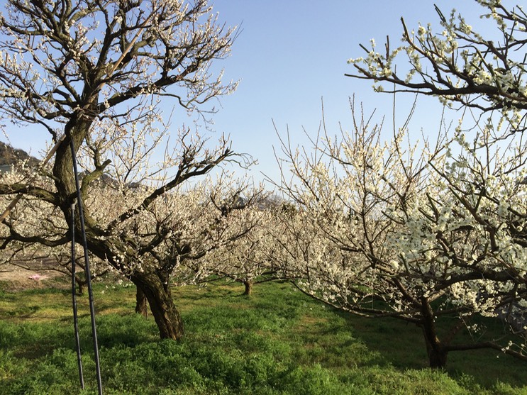 Photo 28-02-2015 14 55 09