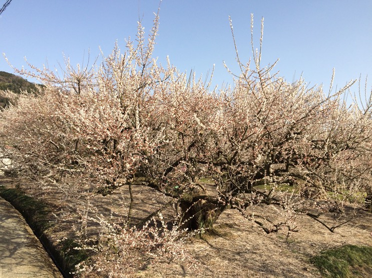 Photo 28-02-2015 14 55 25