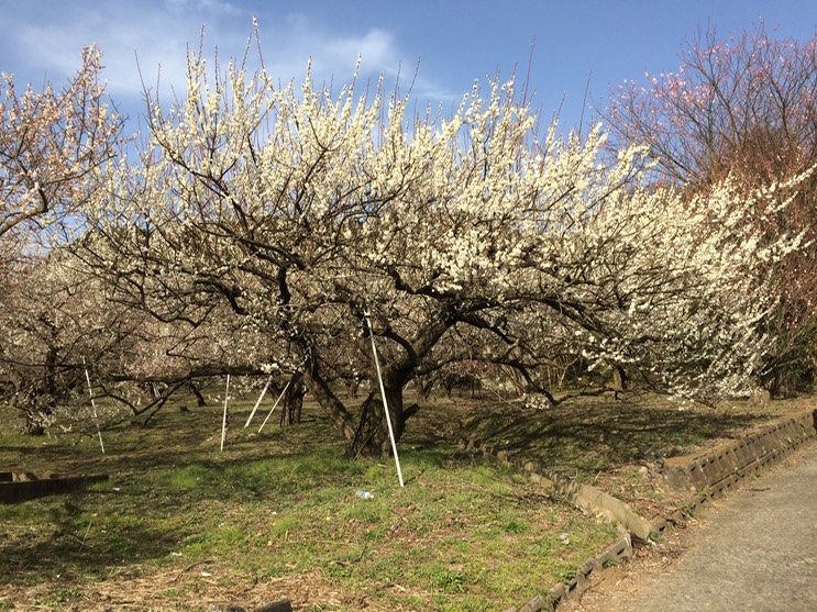 Photo 28-02-2015 15 05 47