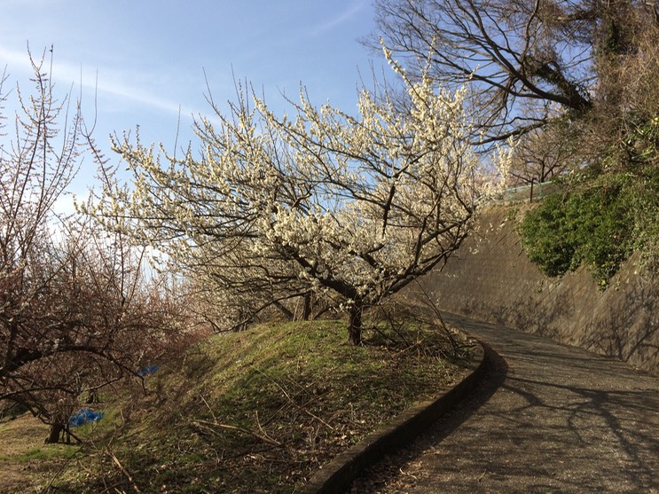 Photo 28-02-2015 15 13 17