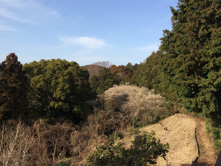 Photo 28-02-2015 15 20 28