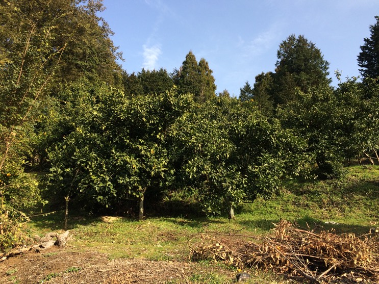 Photo 28-02-2015 15 21 22