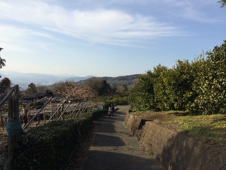 Photo 28-02-2015 15 23 21