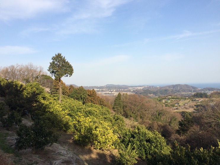 Photo 28-02-2015 15 37 10