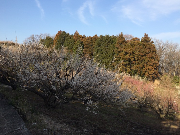 Photo 28-02-2015 15 38 22