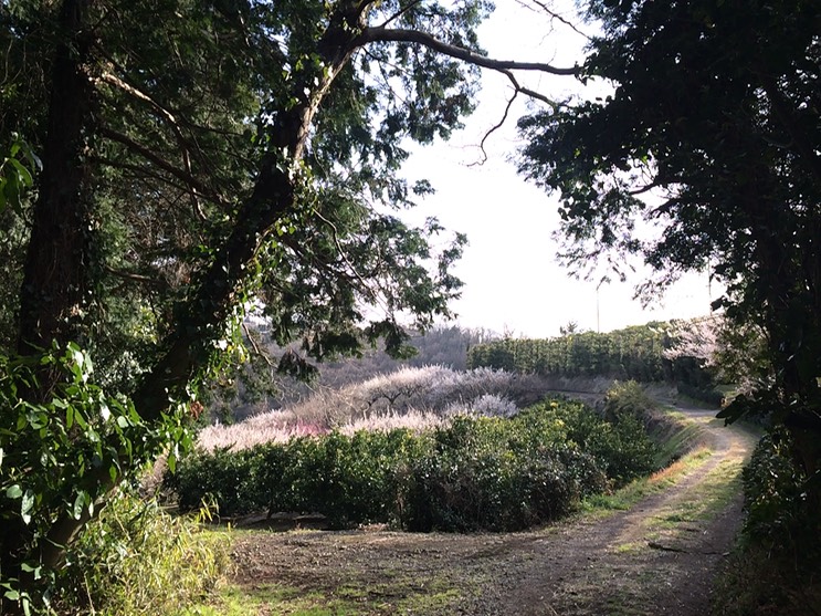 Photo 28-02-2015 15 46 34