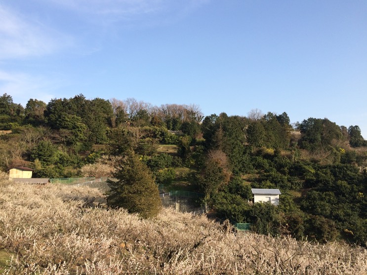 Photo 28-02-2015 15 52 20