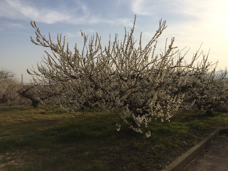 Photo 28-02-2015 16 05 57