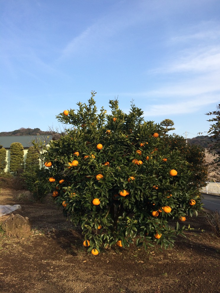 Photo 28-02-2015 16 12 42