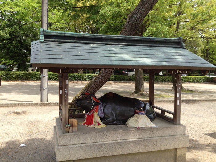 Photo 29-04-2012 13 01 28