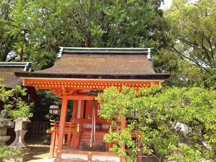 Photo 29-04-2012 13 07 06