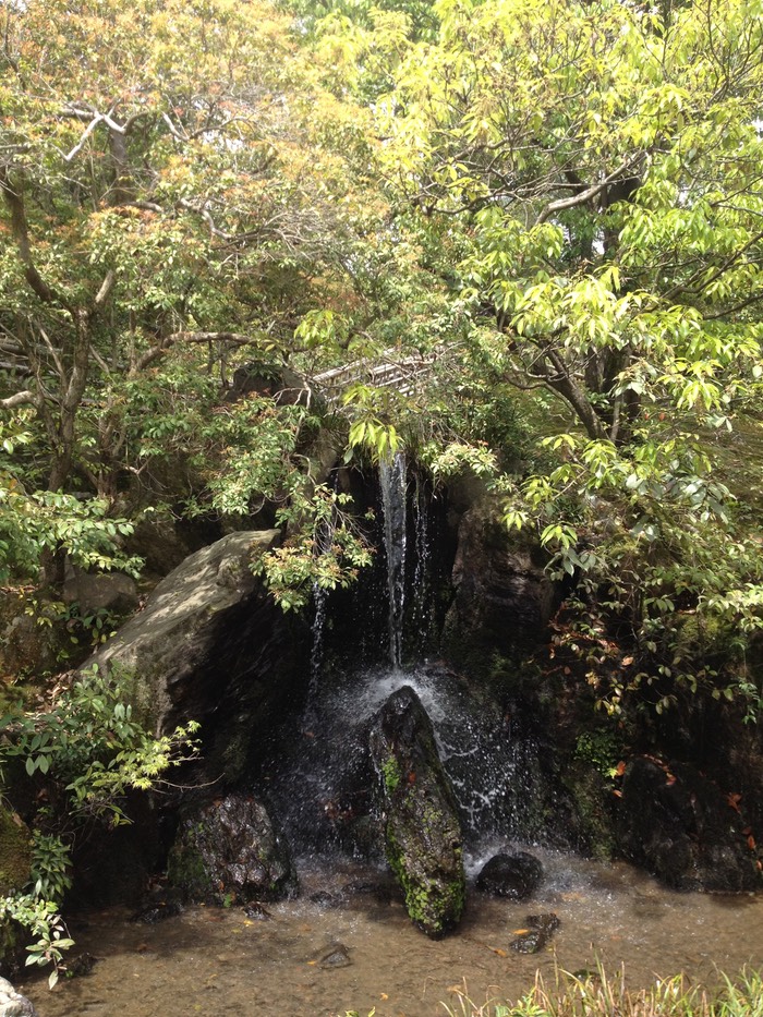 Photo 29-04-2012 13 47 31