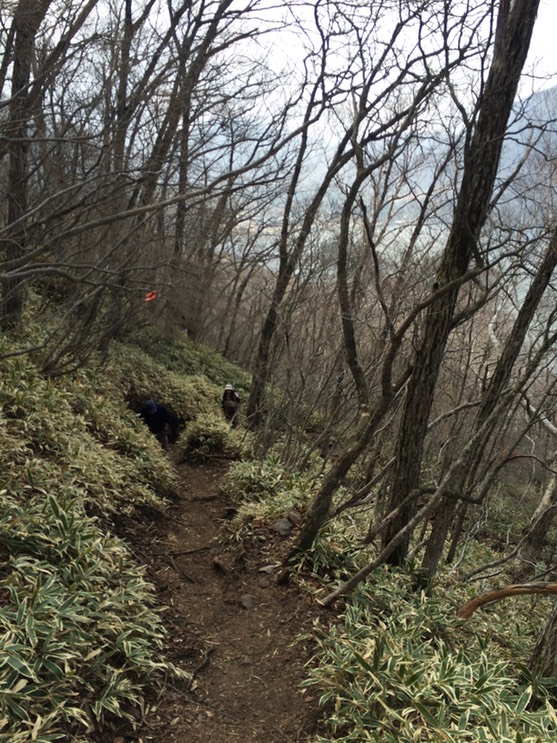 Photo 29-04-2015 10 30 01