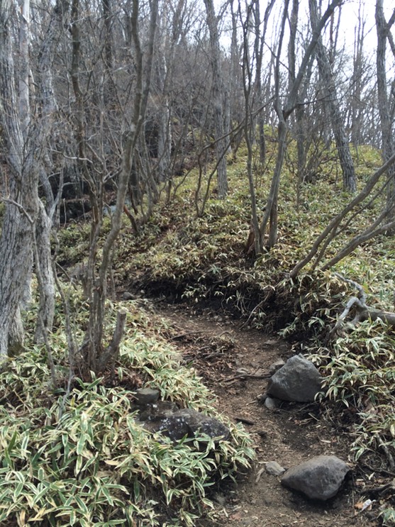 Photo 29-04-2015 10 30 03