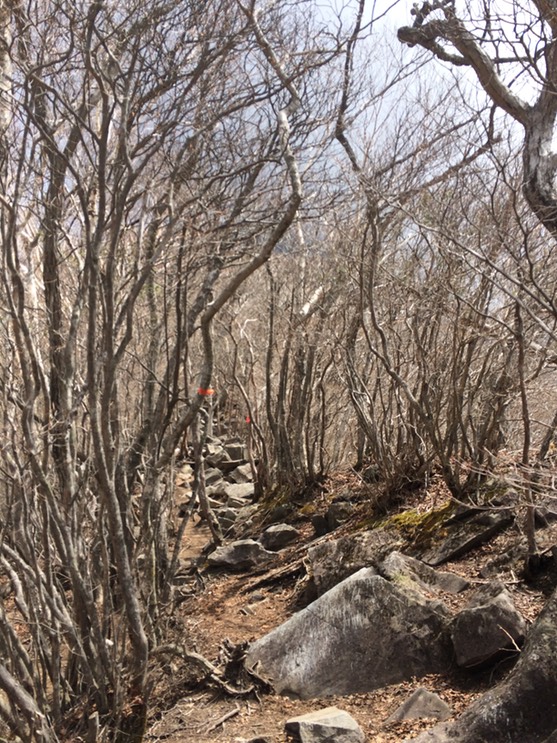 Photo 29-04-2015 10 39 15