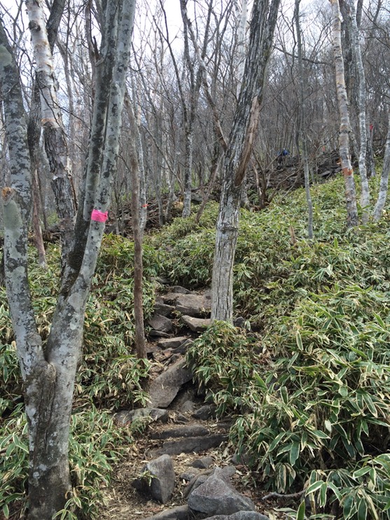 Photo 29-04-2015 10 42 50