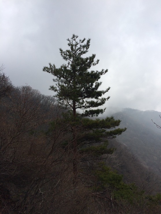 Photo 29-04-2015 11 05 37