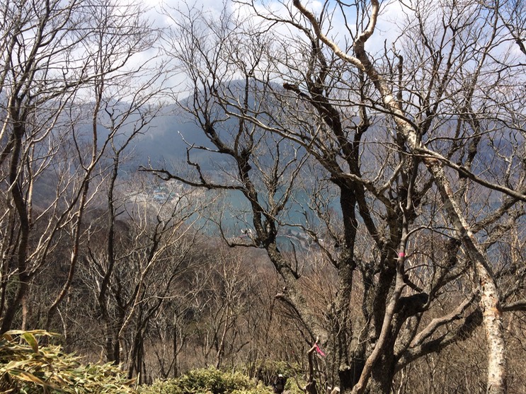 Photo 29-04-2015 11 17 25