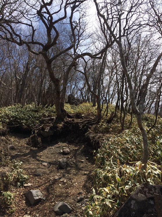 Photo 29-04-2015 11 28 11