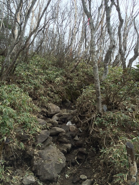 Photo 29-04-2015 11 42 11 (1)