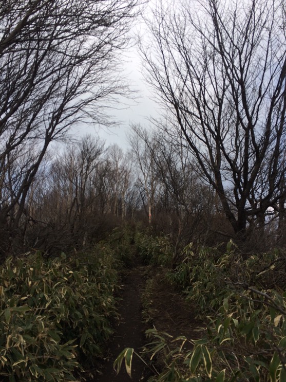 Photo 29-04-2015 11 46 25