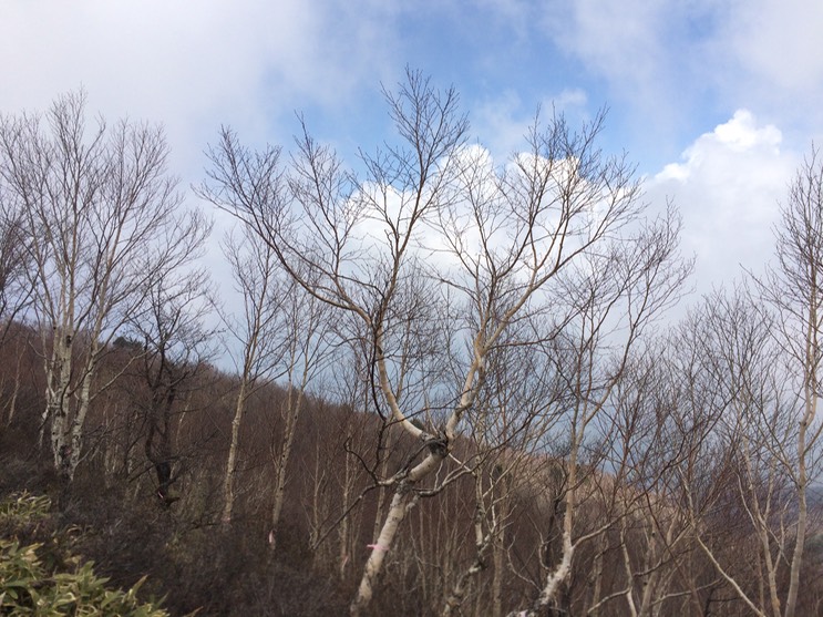 Photo 29-04-2015 11 49 14