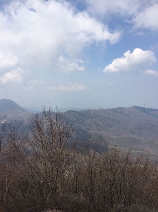 Photo 29-04-2015 11 56 28