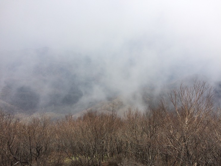 Photo 29-04-2015 12 03 02