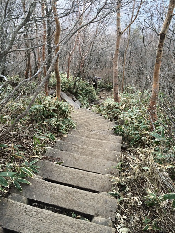 Photo 29-04-2015 12 27 22