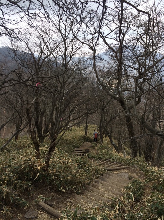 Photo 29-04-2015 12 35 21