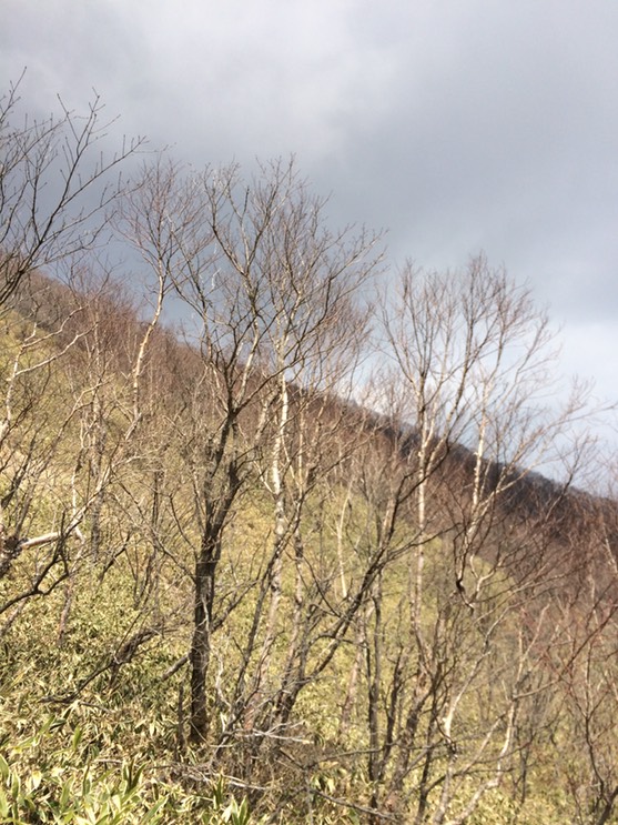 Photo 29-04-2015 12 38 38