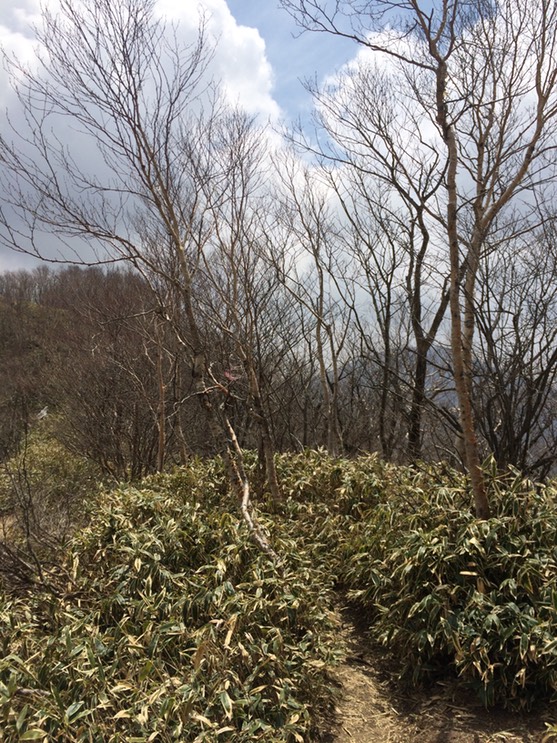 Photo 29-04-2015 12 38 43