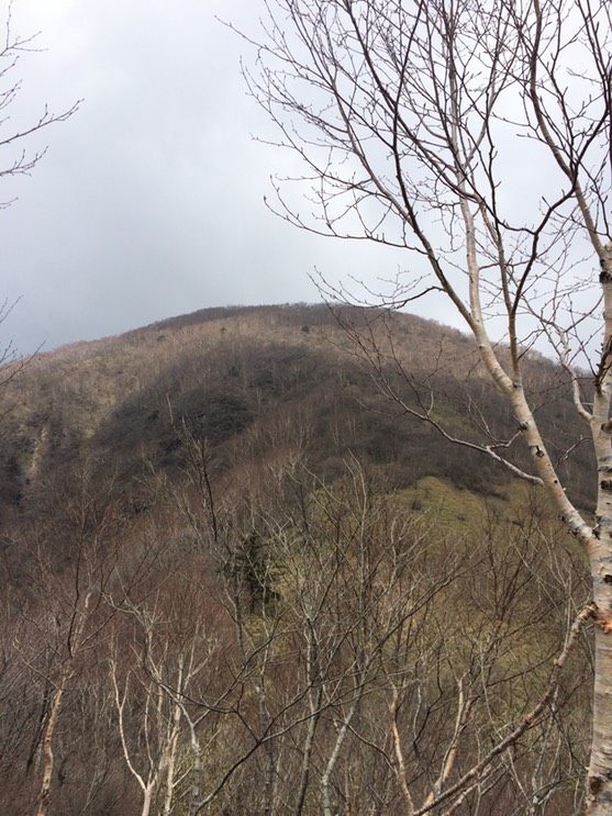 Photo 29-04-2015 12 40 44