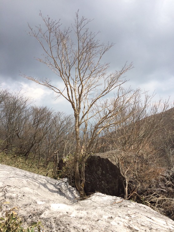 Photo 29-04-2015 12 43 43